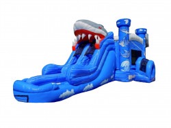 Shark Double Lane Combo Wet/Dry