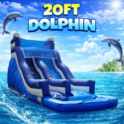 20FT Dolphin Slide with Deep Pool