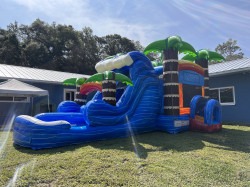 https://bubblybouncerentals.com/rentals/combo-bounce-houses/tropical-double-lane-combo-wet-dry/